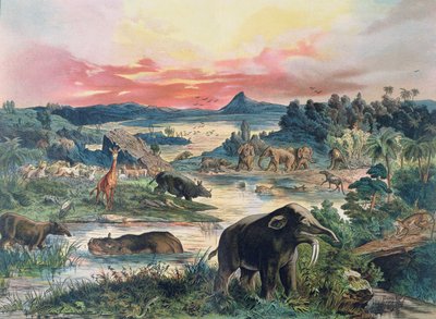 Prehistorie - Tertiair - reconstructie van de natuurlijke omgeving in Europa en enkele dieren uit deze periode, 1886 door German School