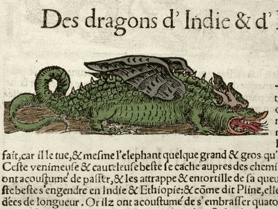 Voorstelling van een draak uit India. Houtsnede uit Sebastien Munster