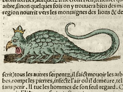 Voorstelling van het mythologische monster Basil. Houtsnede uit de Universele Kosmografie van Sebastien Munster. Bale door German School