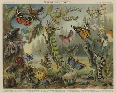 Zelfverdedigingsmechanismen in Insecten door German School