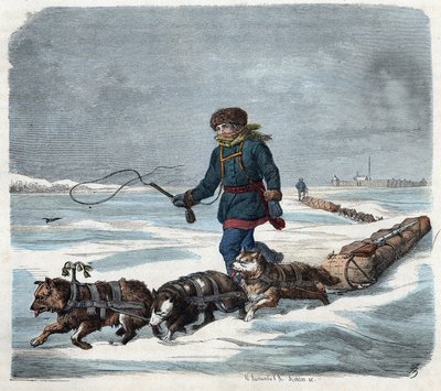 Sledehond in de sneeuw van Amerika. In 