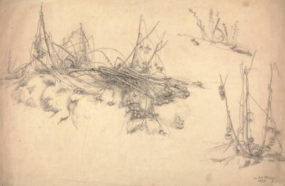 Studie van een distel, 24 maart door German School