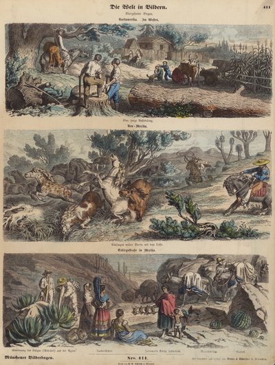 Het Amerikaanse Westen: een nieuwe nederzetting; wilde paarden vangen in New Mexico; een bergweg in Mexico (gekleurde gravure) door German School