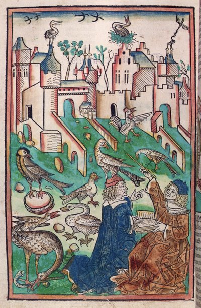 De vogels en wezens van de lucht, illustratie uit 