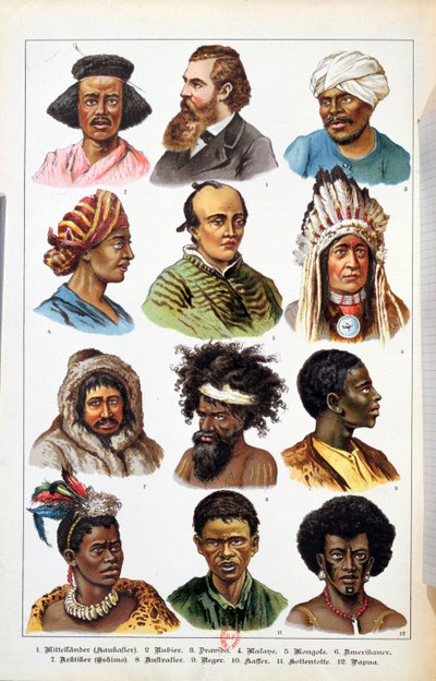 De verschillende menselijke rassen, uit Natuurlijke Historie van het Dierenrijk door Gotthelf Heinrich von Schubert (1780-1860), 1861 door German School