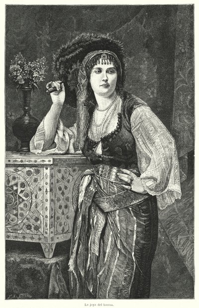 Het juweel van de harem door German School