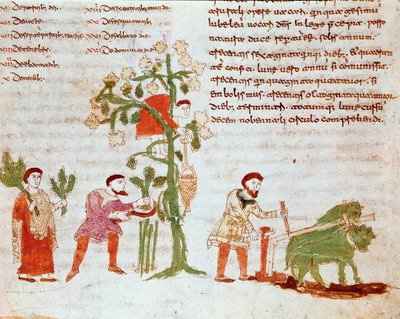 De vier seizoenen: scène van ploegen en druiven plukken (oogst). Miniatuur uit het manuscript 