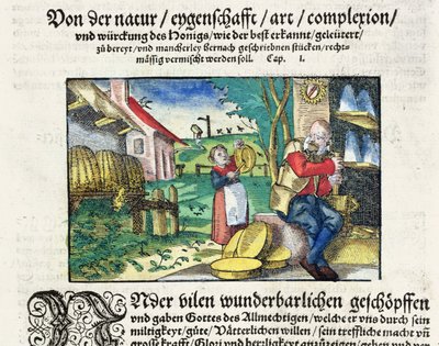De genezende en therapeutische toepassingen van honing in de geneeskunde, illustratie uit een Duits verhandeling over medicijnen, gepubliceerd in Straatsburg in 1573 door German School