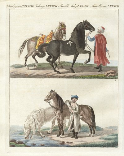 Het paard met zijn verschillende soorten door German School