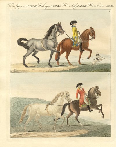 Het paard met zijn verschillende soorten door German School