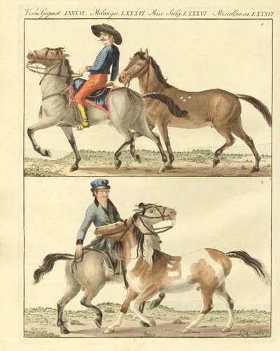 Het paard met zijn verschillende soorten door German School