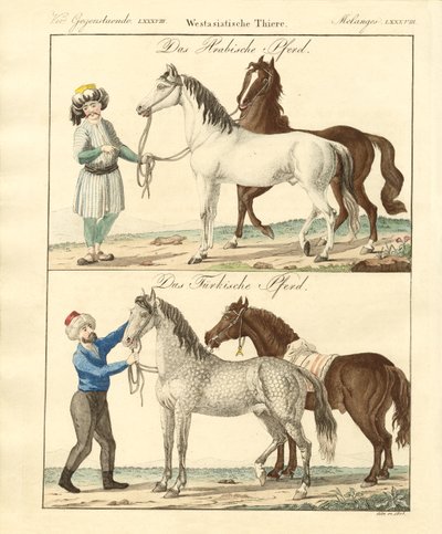 Het paard met zijn verschillende soorten door German School