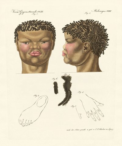 De hottentot of bosjesman door German School