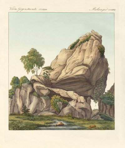 De veronderstelde versteende Reuter van Fontainebleau (gekleurde gravure) door German School