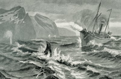 Gebruik van een harpoengeweer vanaf een snelle stoomboot door German School