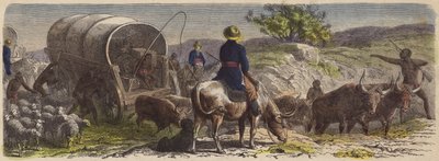 Wagentrein in Zuid-Afrika door German School