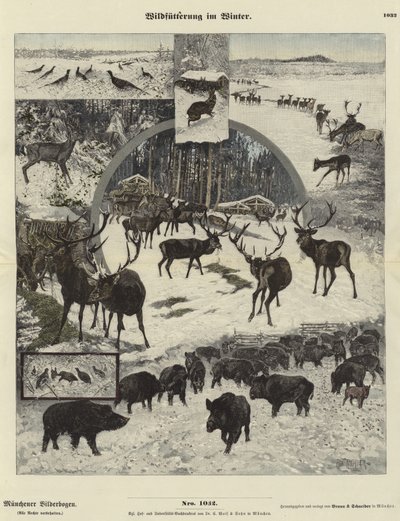 Wild Voeren in de Winter door German School