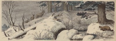 Winterlandschap in Canada (gekleurde gravure) door German School