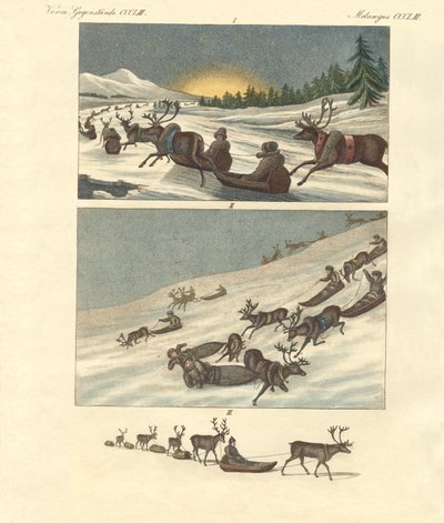 Winterreizen in Lapland door German School