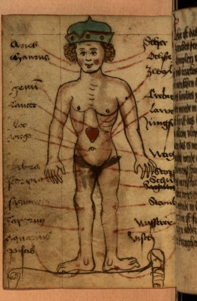 Zodiac diagram dat de positie van het hart toont, uit een verzameling gebeden en astrologische figuren door German School