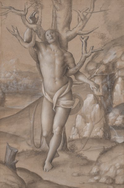 Sint Sebastiaan, ca. 1524 door Gerolamo Giovenone