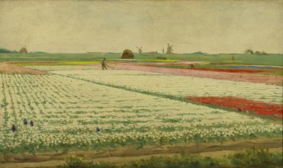 Tulpenvelden door Gerrit Willem Dijsselhof