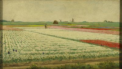 Tulpenvelden door Gerrit Willem Dijsselhof