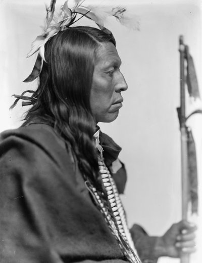 Sioux hoofdman Flying Hawk door Gertrude Käsebier
