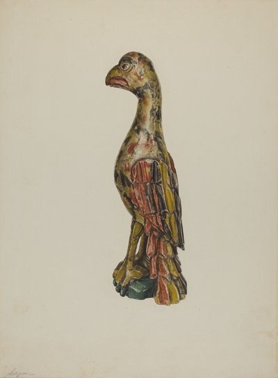 Pa. Duitse Papegaai door Giacinto Capelli