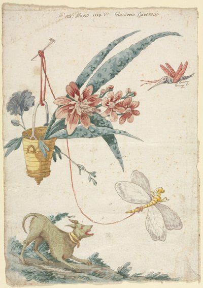 Bloemenontwerp met hond en insecten door Giacomo Cavenezia