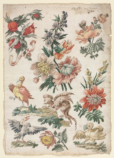 Bloemmotieven met Vogels en Griffioen door Giacomo Cavenezia