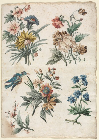 Bloemmotieven met een blauwe vogel, ca. 1773-1774 door Giacomo Cavenezia