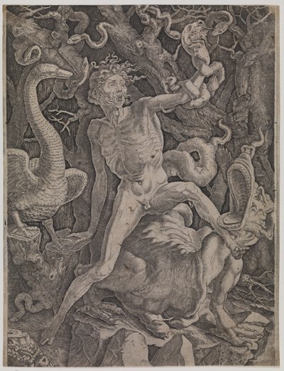 Allegorie op woede door Gian Jacopo Caraglio