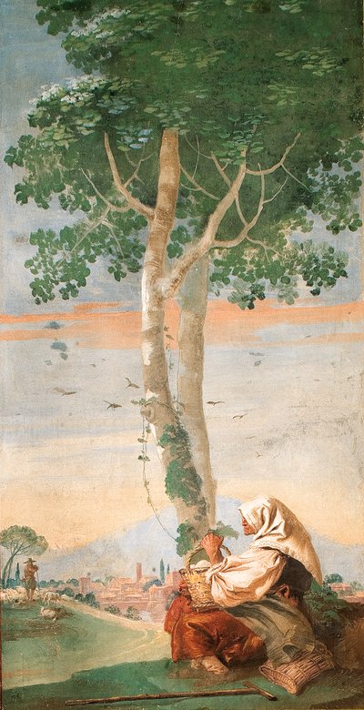 De Oude Boerin Zittend Onder een Boom met een Mandje Eieren, uit de Kamer van Landelijke Scènes door Giovanni Domenico Tiepolo