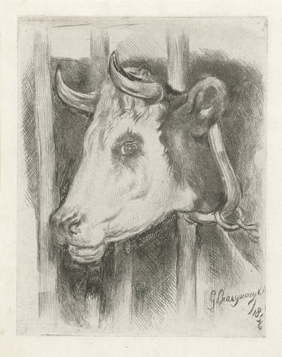 Kop van een koe door Gijsbertus Craeyvanger