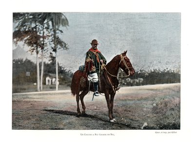 Veedrijver, Rio Grande do Sul, Brazilië, 19e eeuw door Gillot