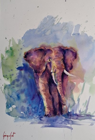 Majestueuze olifant in aquarel door Giorgio Gosti