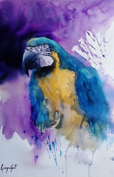 Levendige papegaai in aquarel door Giorgio Gosti