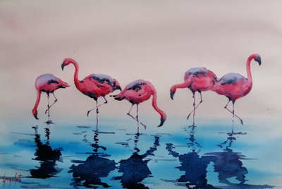 Wadende roze flamingo’s door Giorgio Gosti