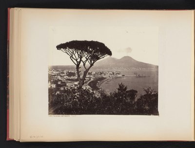 Gezicht op Napels, Italië, met een pijnboom op de voorgrond door Giorgio Sommer