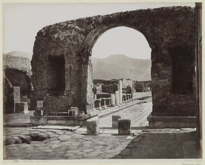 door Giorgio Sommer