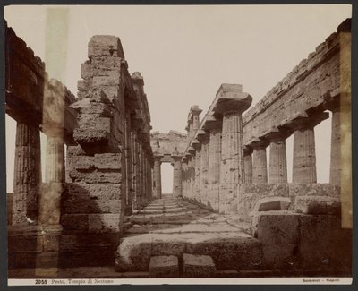 Tempel van Neptunus, Paestum door Giorgio Sommer