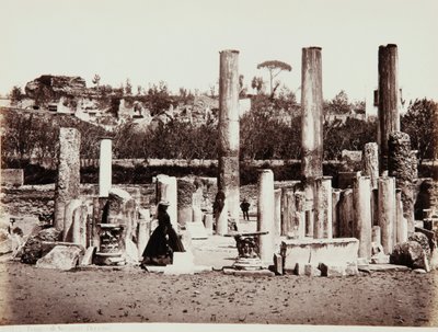 De Tempel van Serapis in Pozzuoli, Napels door Giorgio Sommer