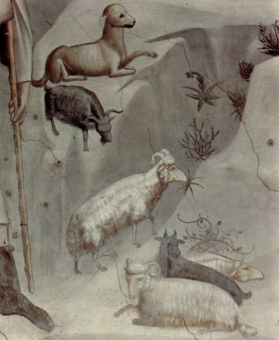 Scènes uit het leven van Joachim: 5. Joachims droom

 (detail) door Giotto