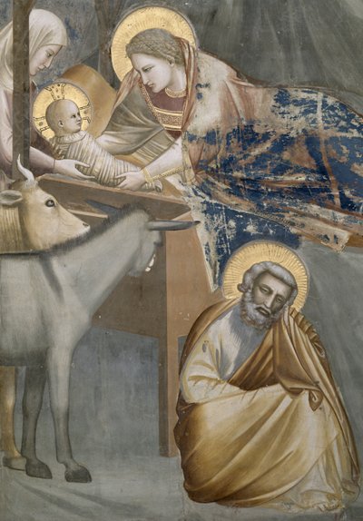 De Geboorte, detail van de Maagd en het Kind, de ezel en Jozef, 1303-05 (na restauratie) door Giotto di Bondone