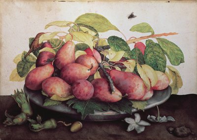 Peren met meidoorns door Giovanna Garzoni