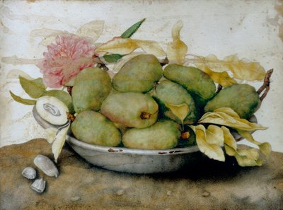 Bord met mispels, amandelen en een roos door Giovanna Garzoni