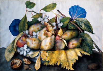 Bord met pruimen, jasmijn en noten. Schilderij op perkament door Giovanna Garzoni (1600-1670) door Giovanna Garzoni