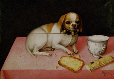 Portret van een hond door Giovanna Garzoni