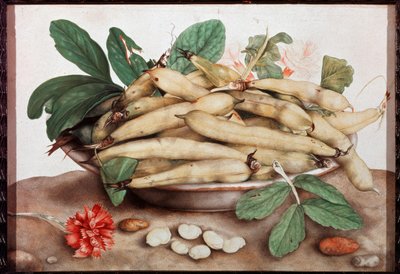 Stilleven met bonenschotel Schilderij door Giovanna Garzoni (1600-1670) 17e eeuw Florence. Palazzo Pitti. door Giovanna Garzoni